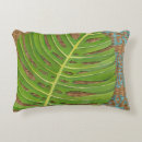 Zoek naar blok kussens Groen