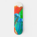 Zoek naar verf patroon skateboards Kleurrijk