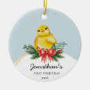 Zoek naar chicken ornamenten Kerstversiering