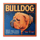 Zoek naar dieren tegels Grafisch