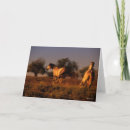 Zoek naar twee paarden kaarten Animal