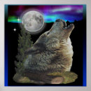 Zoek naar wolf maan posters Wolven