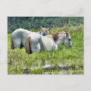 Zoek naar lang briefkaarten Voor iedereen