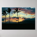 Zoek naar hawaiian posters Vakantie