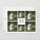 Zoek naar fotocollage briefkaarten Fotomontage