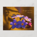 Zoek naar vergeet me niet briefkaarten Wilde bloemen