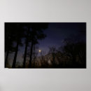 Zoek naar nacht hemel posters Bomen