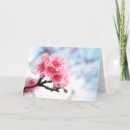 Zoek naar sakura kaarten Bloem