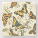 Zoek naar insect onderzetters Bloemen