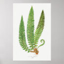 Zoek naar botanische illustratie kunst Retro