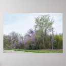 Zoek naar blauwe regen posters Lente