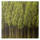 Zoek naar japanse tegels Planten