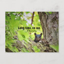 Zoek naar lang briefkaarten Elk persoon