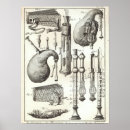 Zoek naar doedelzak posters Vintage