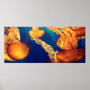 Zoek naar biologen posters Zee