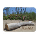 Zoek naar driftwood magneten Kust