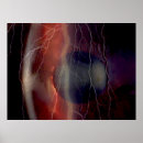 Zoek naar opticiens posters Dokter