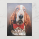 Zoek naar vlinderdas posters Hond
