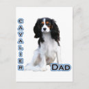 Zoek naar paps briefkaarten Hond