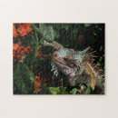 Zoek naar exotic puzzels Elk persoon