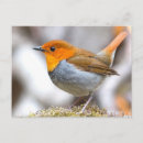 Zoek naar japans ontwerp briefkaarten Vogel