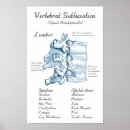 Zoek naar osteopathie posters Chiropractor