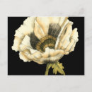 Zoek naar poppy briefkaarten Floreel