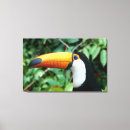 Zoek naar jungle kunst Vogel