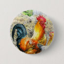 Zoek naar haan buttons Kip
