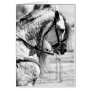 Zoek naar western notitiekaarten Equine