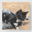 Zoek naar smoking kat kunst Schattig