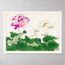 Zoek naar primula posters Floreel