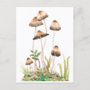 Zoek naar paddestoelen posters briefkaarten Bos