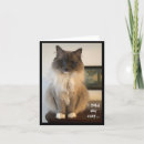 Zoek naar uitspraak kaarten Elk persoon