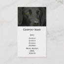 Zoek naar labrador puppy visitekaartjes Schattig