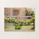 Zoek naar complexe puzzels Kleurrijk