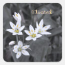 Zoek naar macro stickers Bloem