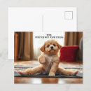 Zoek naar yoga briefkaarten Uitrekken