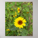 Zoek naar waaien posters Voor iedereen