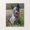 Zoek naar bont puzzels Vriendschap