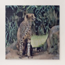Zoek naar kijk puzzels Wild