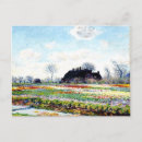 Zoek naar tulip fields briefkaarten Landschap