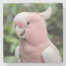 Zoek naar roze vogel onderzetters Mooi