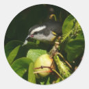 Zoek naar fotografie stickers Elk persoon