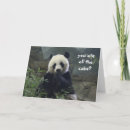 Zoek naar de panda draagt kaarten Grappig