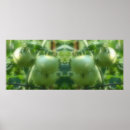 Zoek naar tomaat posters Voor haar