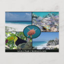 Zoek naar snorkelen briefkaarten Vakantie