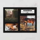 Zoek naar keukens briefkaarten Kat