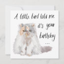 Zoek naar vogeltje kaarten Elk persoon