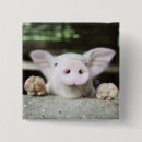 Zoek naar landbouw buttons Natuur